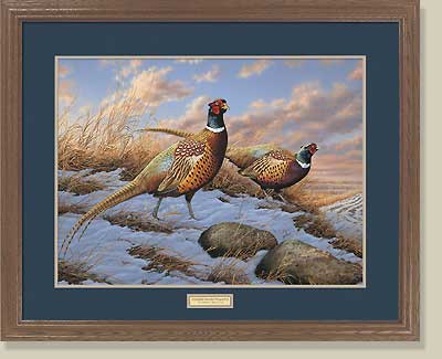 (image for) Open Edition Framed Prints